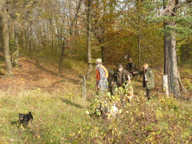 Polowania 26.10.08